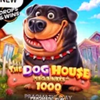 Слот The Dog House 1000 провайдера Pragmatic Play